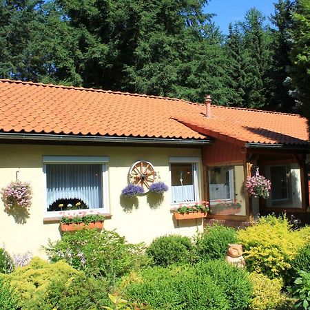Villa Hintze Soltau Exterior foto