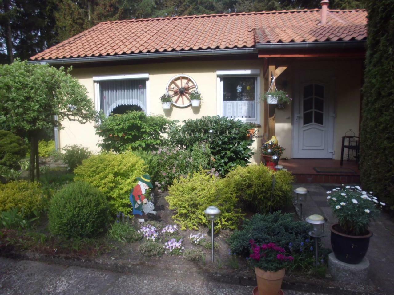 Villa Hintze Soltau Exterior foto
